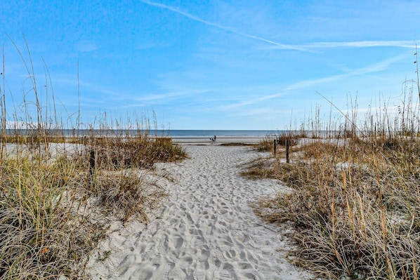 Un sentier de sable qui longe la plage et mène à la mer, avec une végétation clairsemée de chaque côté.