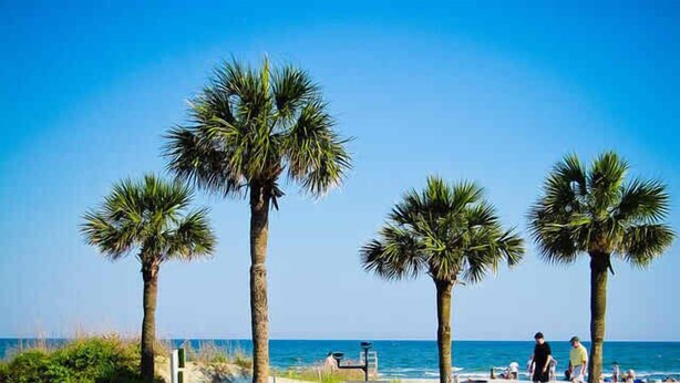 A beach pathway with palm trees, benches, and a view of the ocean. - Unmatched Views at Seaside Villa  Steps to the Sand (Hilton Head Island)