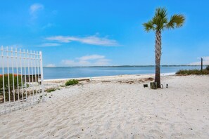 Enjoy a serene beach experience with a palm tree and a sandy shore.
