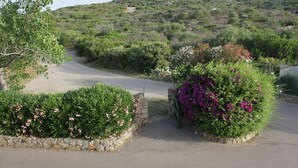 A paved road curving through a landscaped area with stone walls and various shrubs and flowers. - The Broom (Golfo Aranci)