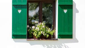 A window with green shutters and a potted plant with pink flowers. - Haus mitten in den Weinbergen - Haus 44. Frühstücksservice möglich! (Liběšice)
