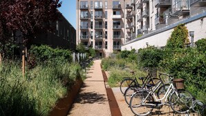 A pathway leading to a modern apartment building with balconies and a bike rack.