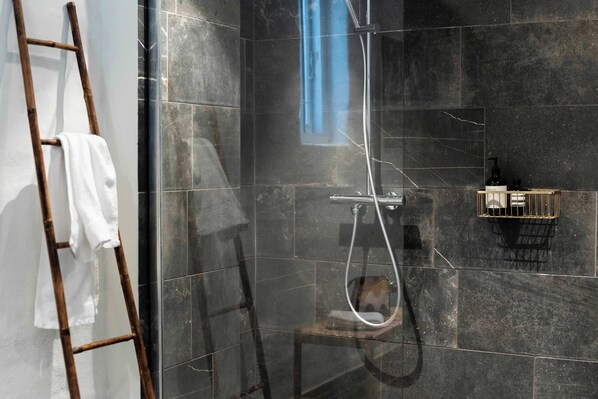 Shower, hair dryer, towels