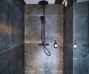 Douche, séchoir à cheveux, serviettes fournies