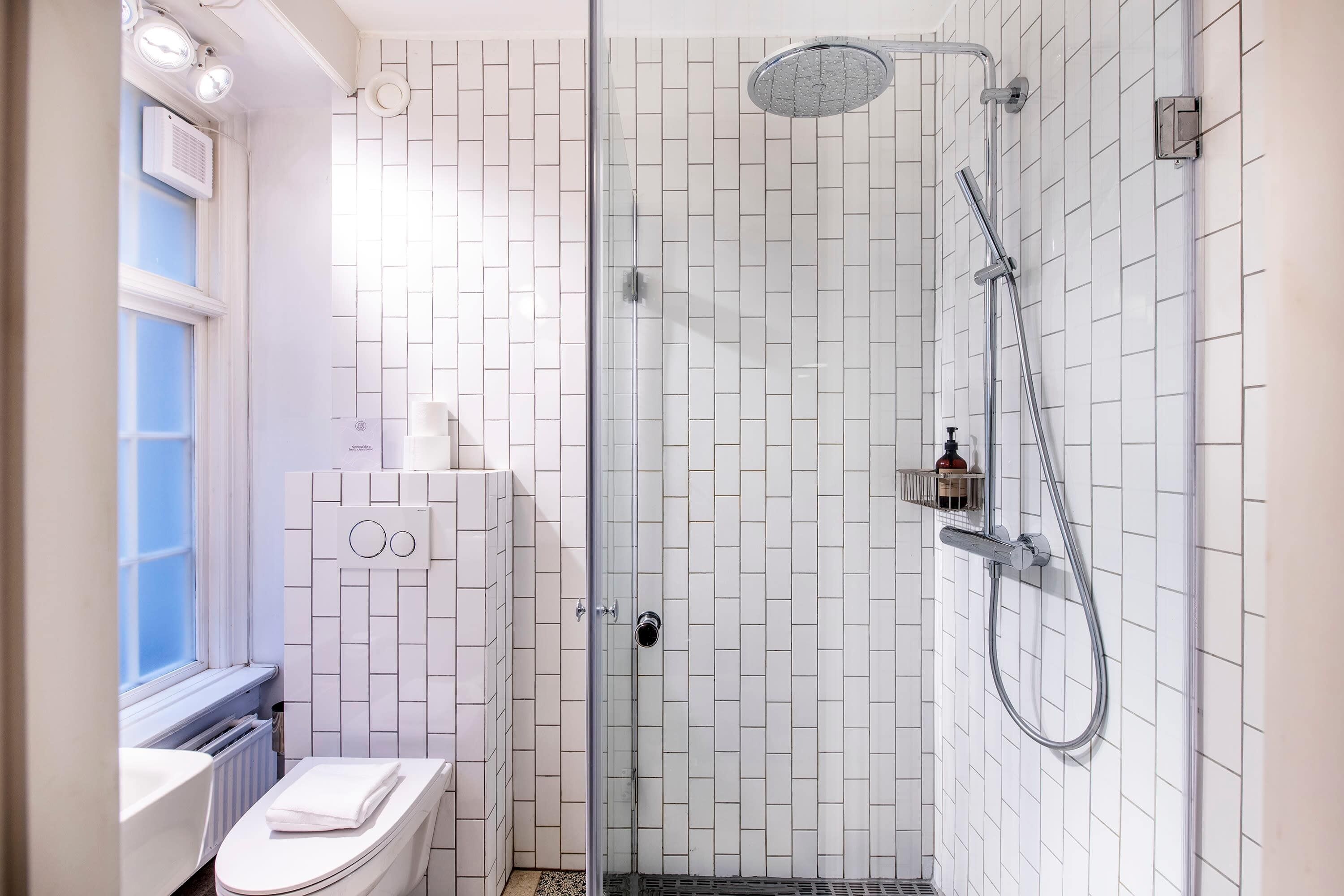 Shower, hair dryer, towels