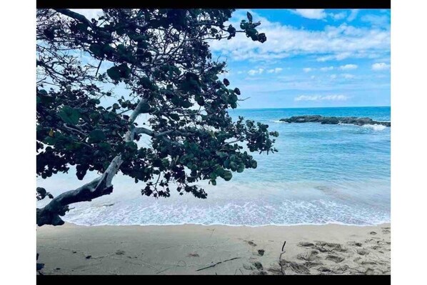 Playa en los alrededores y toallas de playa 