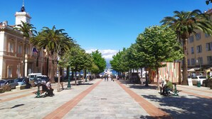 A wide pedestrian street lined with palm trees and benches, leading to a body of water.