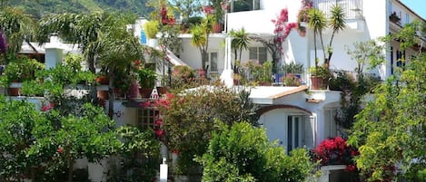 Terrasse sur le toit