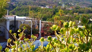 A residential area with houses, a mountain in the background, and a garden with green plants in the foreground. - Hotel La Maggioressa (Casamicciola Terme)