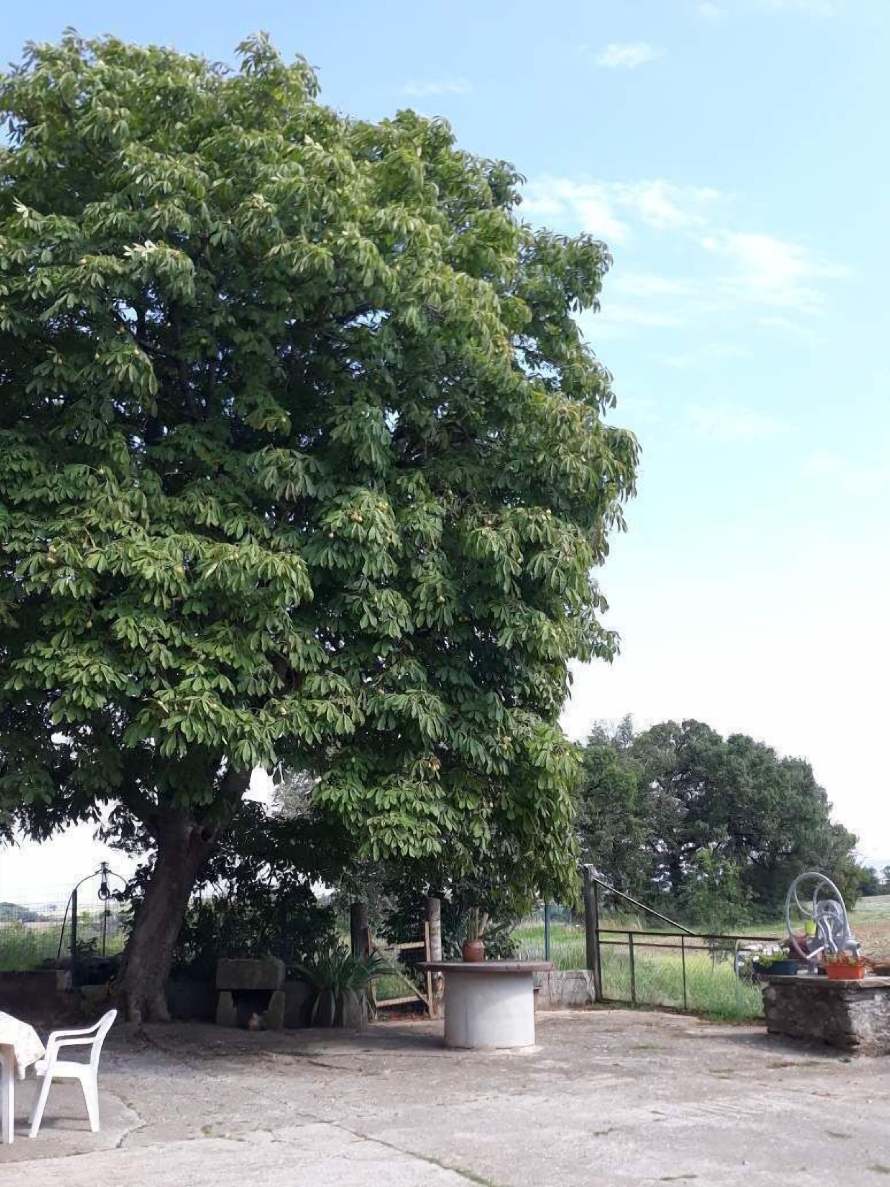 The renovated chestnut farm with assured calm, near the village of Ambialet 