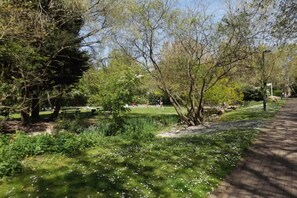 Basic House, Multiple Beds | Property grounds