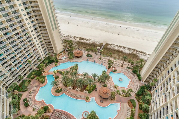 Relax by the ocean-view pool surrounded by palm trees and lounge chairs.