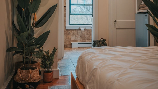 A bedroom with a bed, a television displaying the Netflix logo, a wooden paddle, and potted plants. - Willow Pond Motel (Catskill)