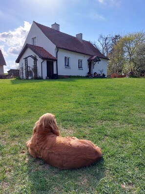 Área da propriedade