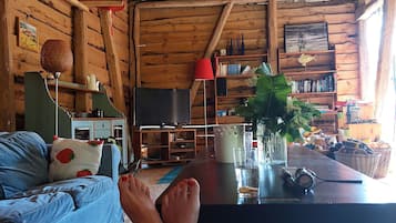 TV, fireplace, books