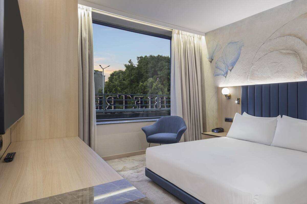 1 King Bed Accessible Room