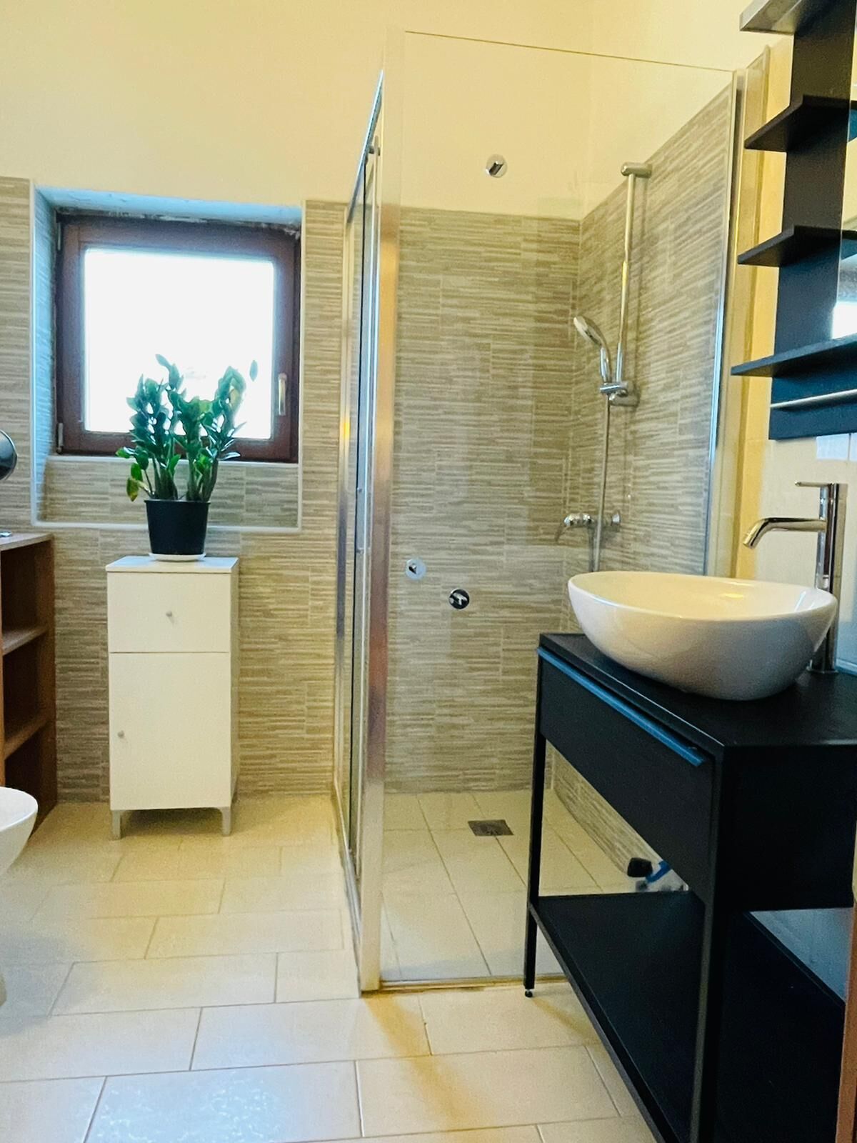 Dusche, Haartrockner, Bidet, Handtücher