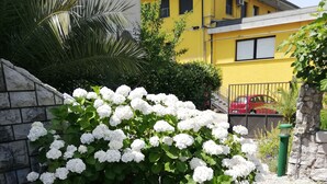 Un jardin agrémenté de buissons d’hortensias blancs, d’un mur de pierre et d’un bâtiment jaune en arrière-plan.