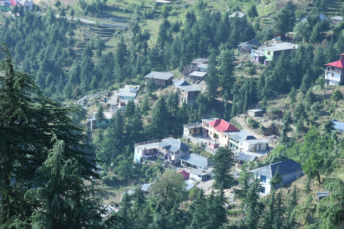 A hillside village with houses built on terraced fields, surrounded by dense forest.