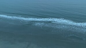 Une plage avec une mer calme et un ciel nuageux.
