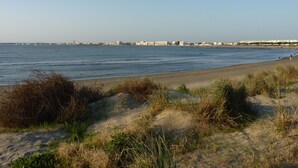A beach with sand dunes and sparse vegetation.