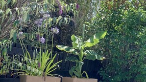 Zona junto a la piscina con dos macetas cuadradas con plantas, bordeada de guijarros y un camino de hormigón.