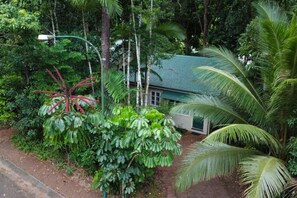 A house surrounded by dense tropical vegetation, including large palm trees and various shrubs.