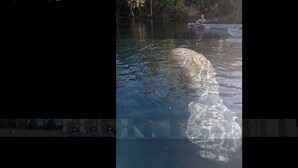 Ein Fluss mit klarem Wasser, einem Kajak und einem kleinen Boot.