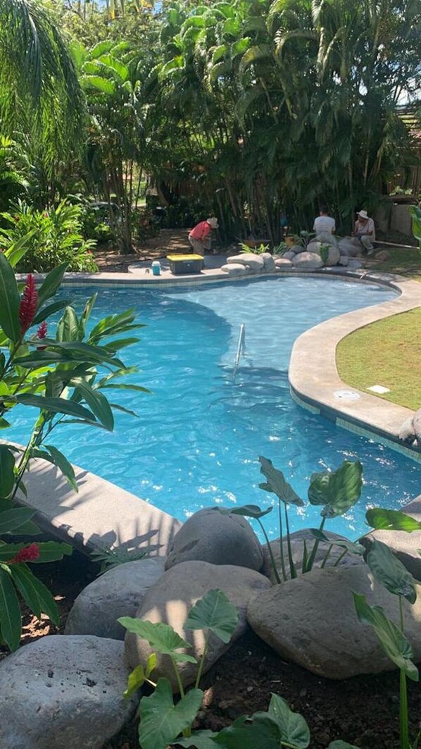 Piscine extérieure