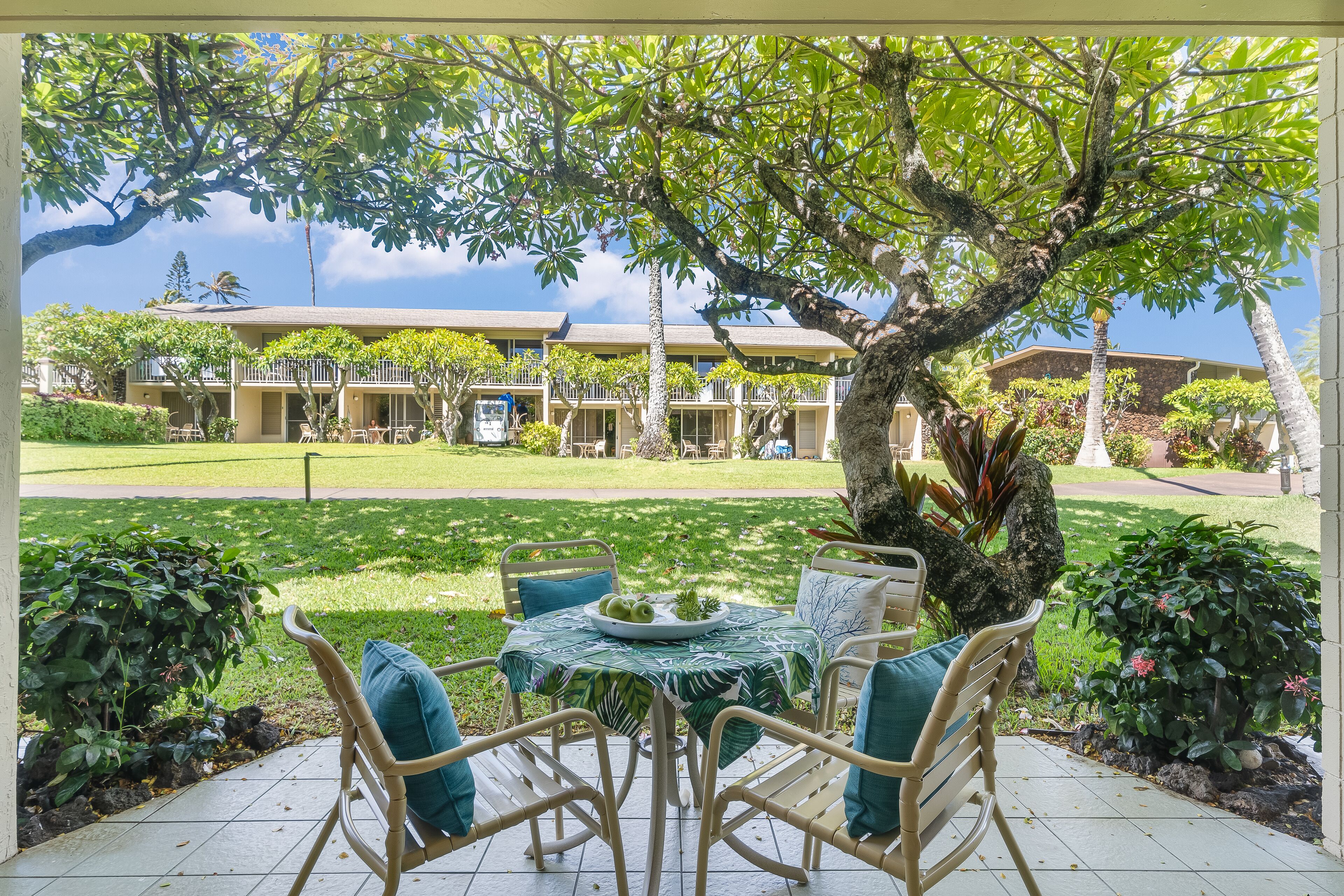 NS C120 Discounted Rates Thru December at Remodeled Studio w Patio Pool Hot Tub