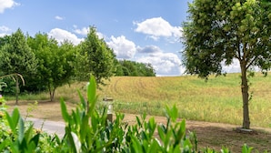 A rural landscape with a field, trees, and a clear sky. - Vacation apartment Mila am Schwarzer See - Lake District (Schwarz)