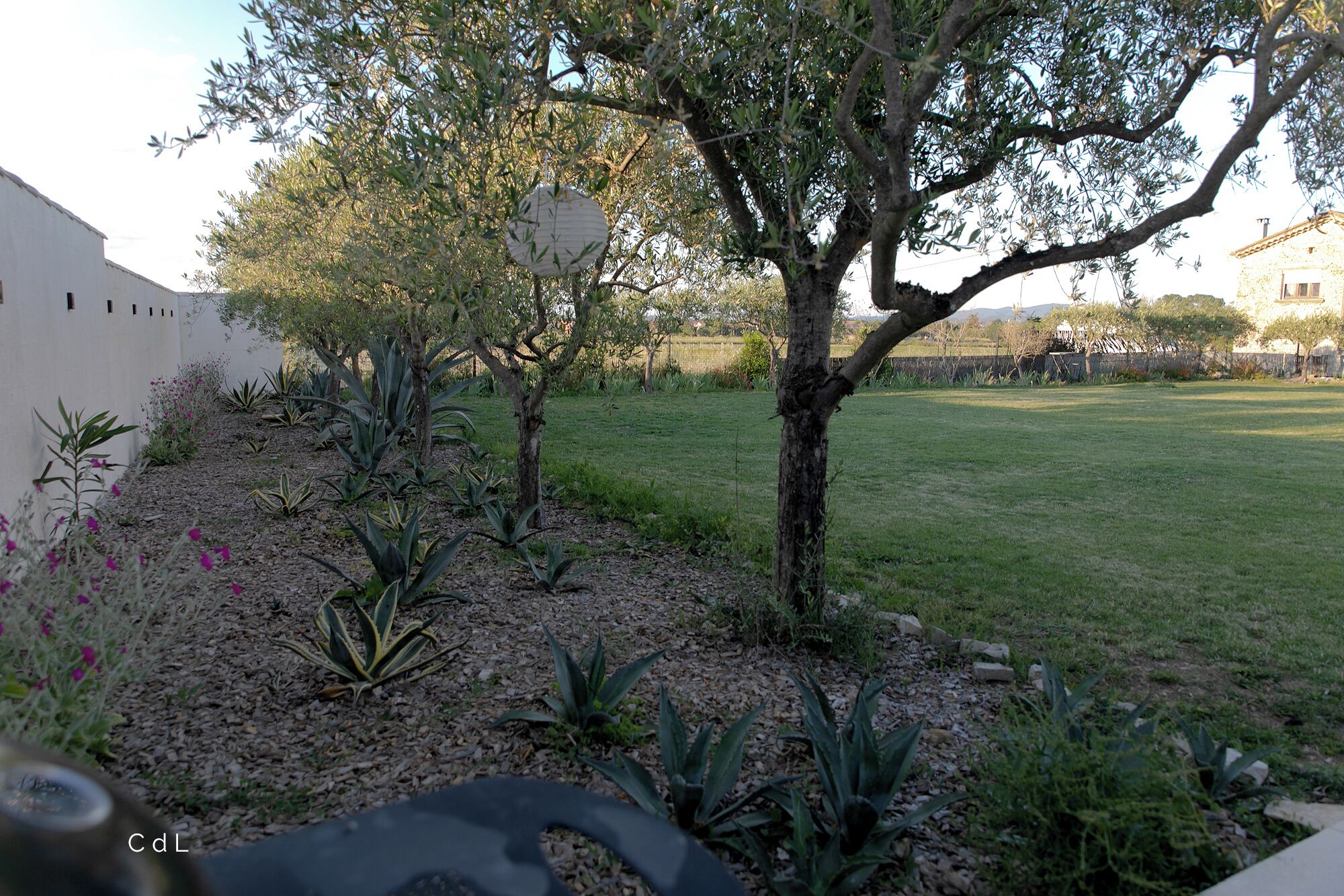 Ein Garten mit verschiedenen Pflanzen und einem Baum.
