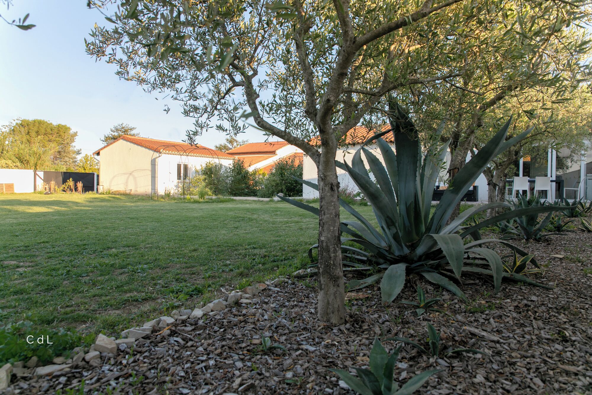 Un patio con césped, un árbol y plantas de agave, un edificio con techo de tejas rojas y una pared blanca.