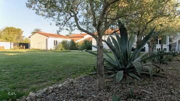 Un patio con césped, un árbol y plantas de agave, un edificio con techo de tejas rojas y una pared blanca.