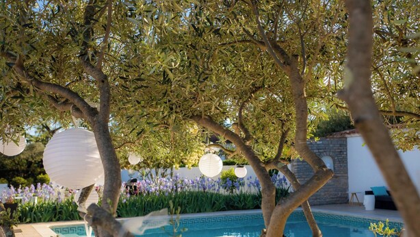 An outdoor pool area with a clear view of the pool, surrounded by trees and purple flowers. - Croissant de Lune (Bagard)