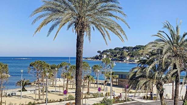 Une promenade en bord de mer bordée de palmiers, un ciel bleu azur et une vue imprenable sur la mer.