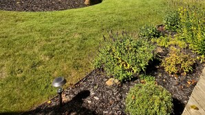 A lakeside view with a dock, a covered boat house, and a well-maintained grassy area with plants. - Lakefront Sunsets and Sandy Beach in Rockford, MI (ROCKFORD)