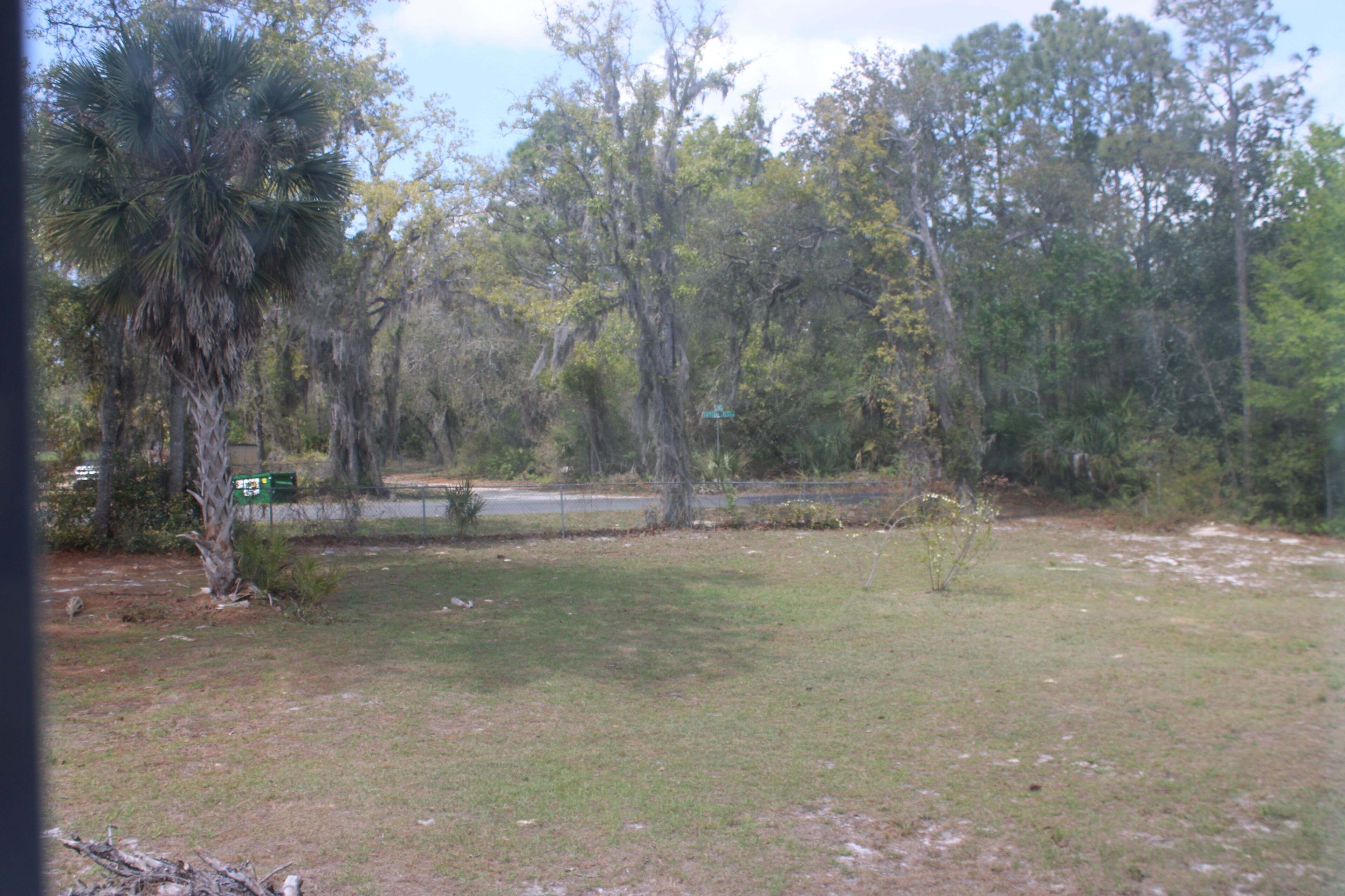 A natural landscape with trees, a grassy area, and a road.
