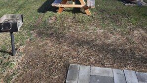 Ein Picknicktisch in einer grünen Wiese, im Hintergrund ein Fluss und Bäume.