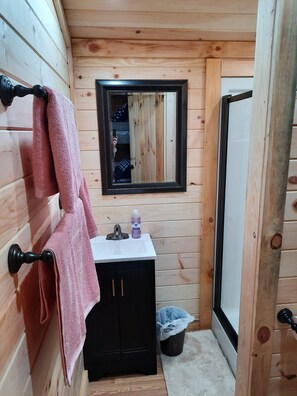 Shower, hair dryer, towels, toilet paper