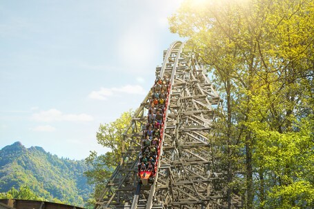 Residence Inn by Marriott Pigeon Forge - Image 46