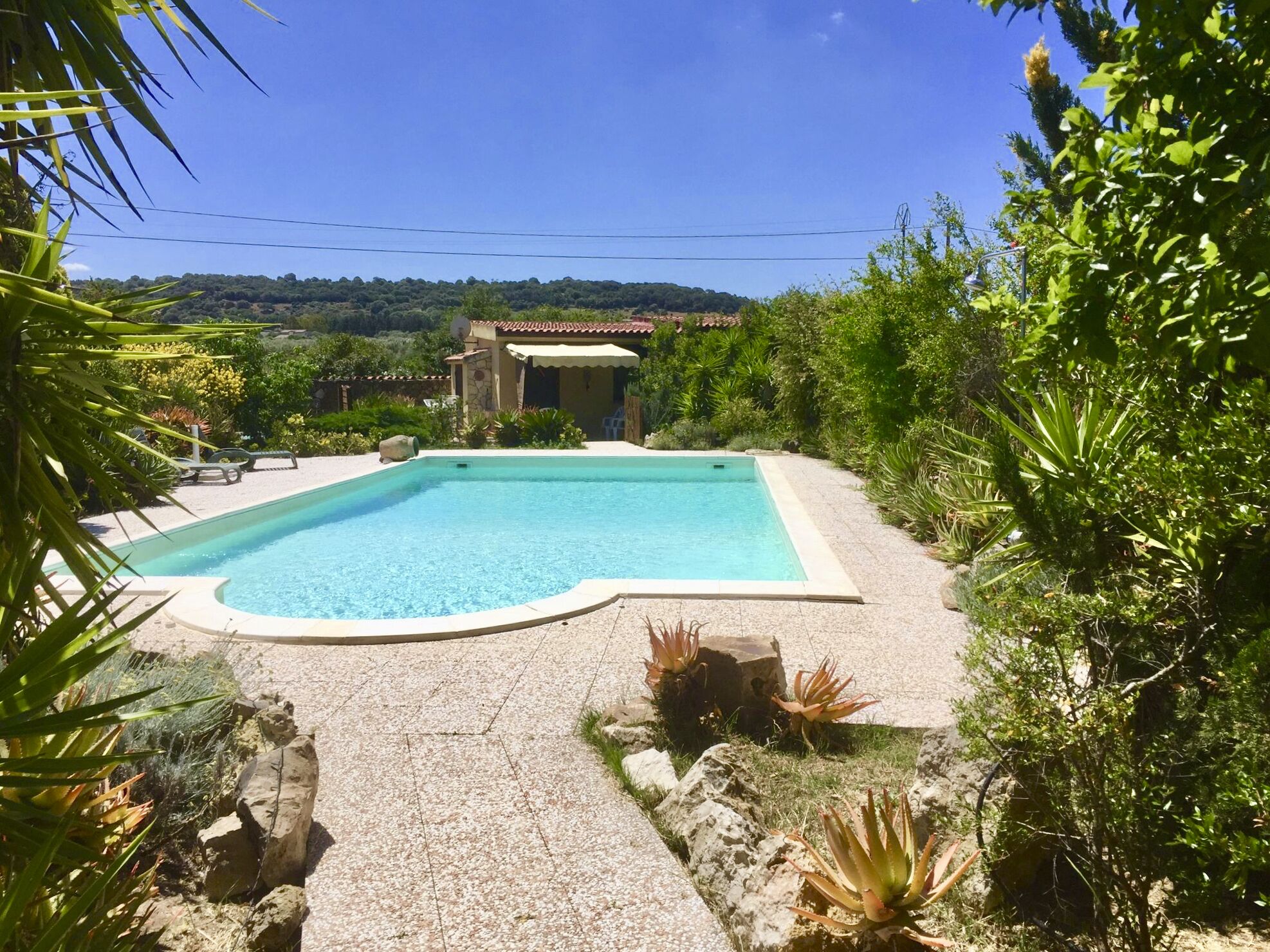 A rectangular swimming pool with a tiled deck, surrounded by lush greenery and a stone pathway leading to a building with a tiled roof.