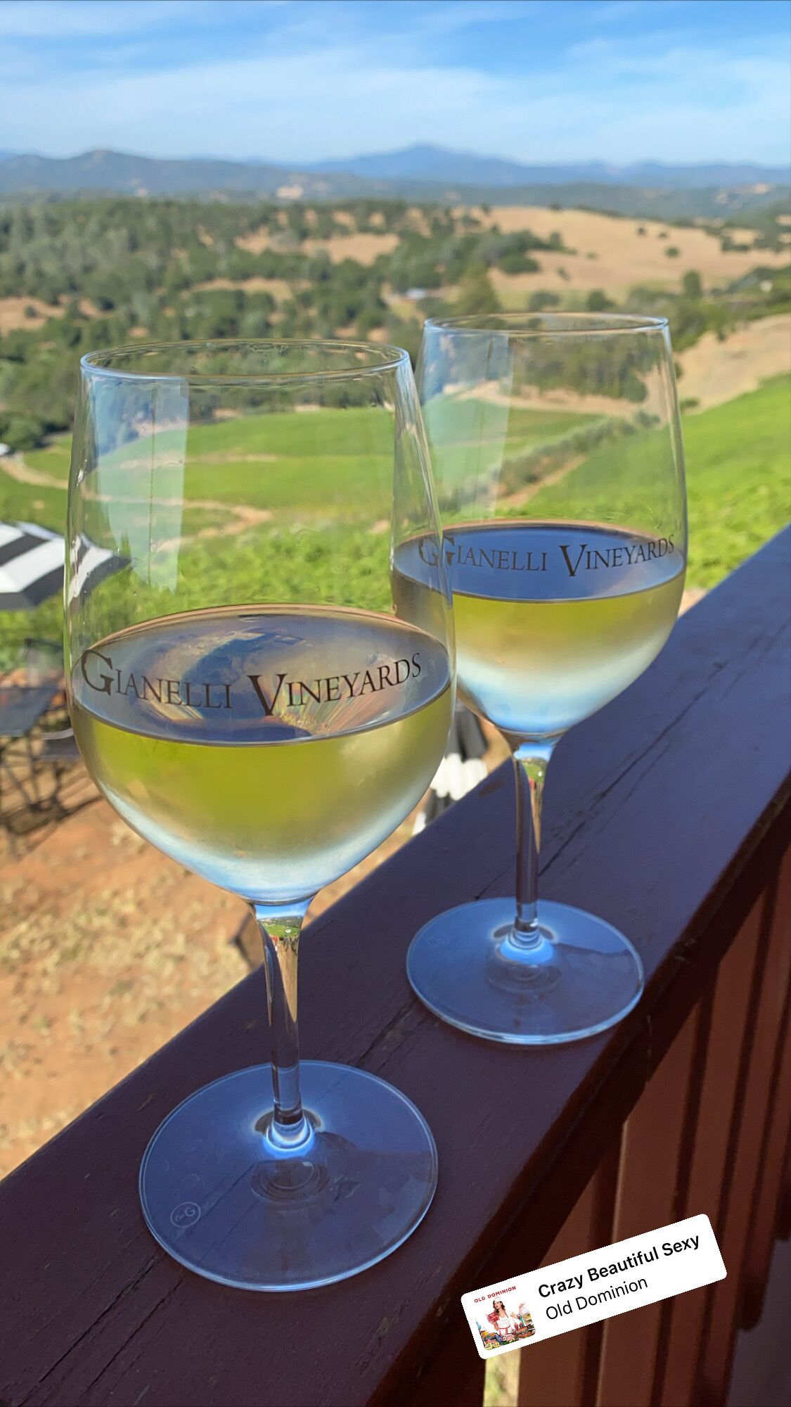 Gianelli Vineyards Wine Taste & Stay