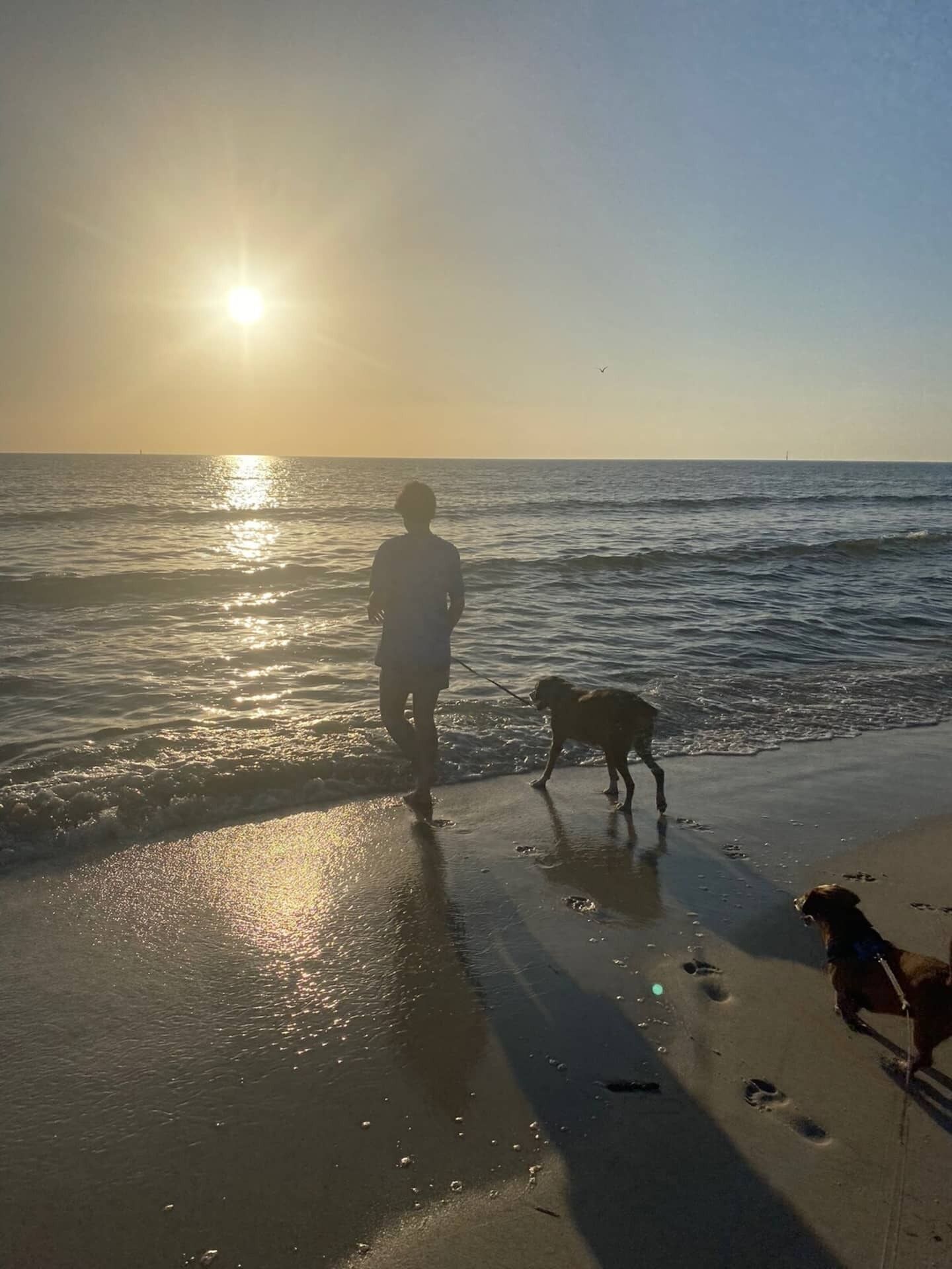 Een strandzicht met een persoon en twee honden nabij de waterlijn tijdens zonsondergang.