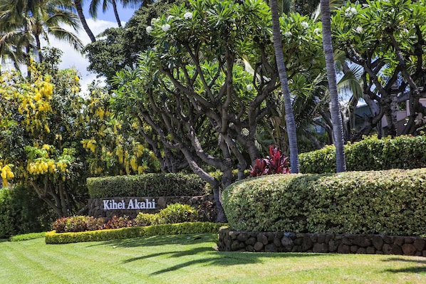 A well-maintained garden with a stone wall, manicured hedges, and a variety of trees including palm trees and a wisteria plant.