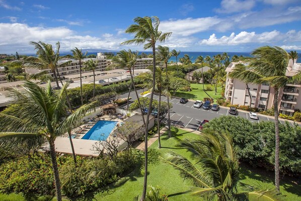 Un resort con piscina, palmeras y vista al océano.