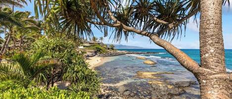 Chaises longues, serviettes de plage