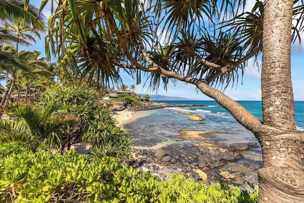 Sun-loungers, beach towels
