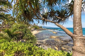 A tropical beach with clear water, palm trees, and rocky terrain.