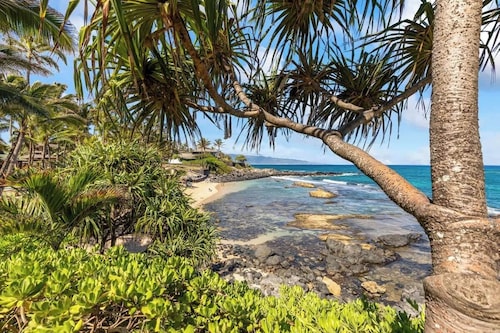 [RARE] Upscale 2BR/2BA Kuau Paia - Walk to Beach